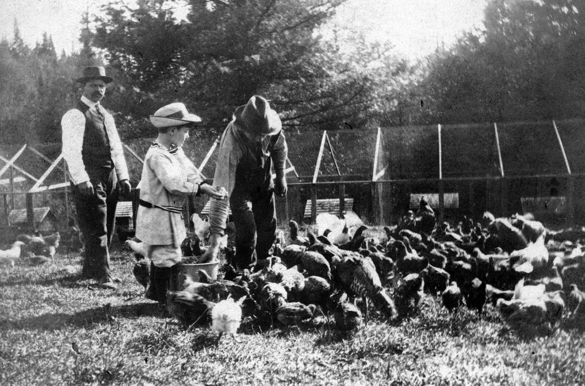 Exhibits in a Museum 